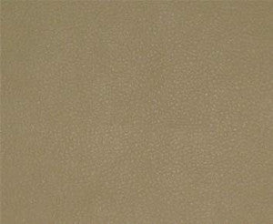 Persuasion # 022 Sand by Maxwell Fabric