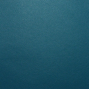 Persuasion # 103 Cortez by Maxwell Fabric