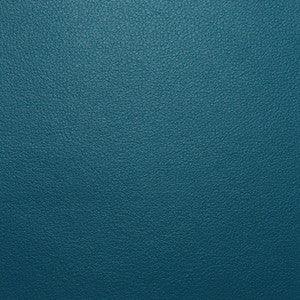 Persuasion # 103 Cortez by Maxwell Fabric