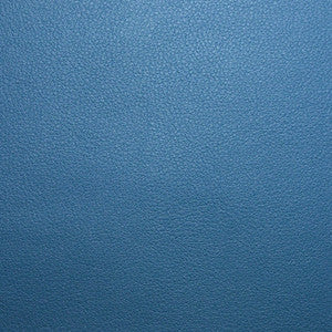 Persuasion # 108 Sky Dive by Maxwell Fabric