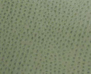 Phoenix(Contract Vinyl) # 006 Drizzle by Maxwell Fabric