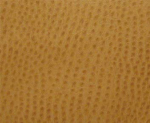 Phoenix(Contract Vinyl) # 009 Ochre by Maxwell Fabric