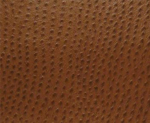 Phoenix(Contract Vinyl) # 010 Outback by Maxwell Fabric