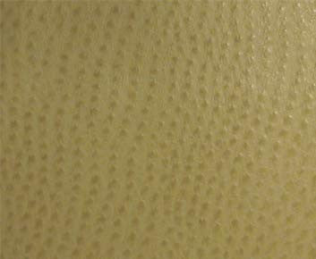 Phoenix(Contract Vinyl) # 013 Willow by Maxwell Designer Fabric Vinyls Iv - Contract 100% PVC BACKING-100% POLYESTER TAIWAN 54" - Swanky Fabrics -