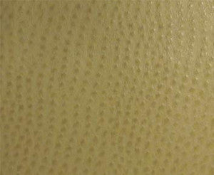 Phoenix(Contract Vinyl) # 013 Willow by Maxwell Fabric
