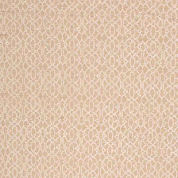 Rapallo Trellis White Chocolate by RM CoCo Fabric
