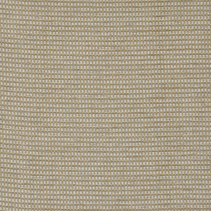 Petite # 324 Honey by Maxwell Fabric PERFORMANCE WOVENS-VOL.I THUNDER 82% RAYON/18% POLYESTER USA See sample </p><p>Repeat: Horizontal: 0.25" and Vertical: 0.25" 57" - Fabric Carolina -
