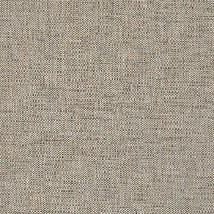 Precise # 403 Natural by Maxwell Fabric PERFORMANCE WOVENS-VOL.I WHITE SAND 66% RAYON 33% POLYESTER
1% NYLON USA </p><p>Repeat: Horizontal: H-0.5 and Vertical: V-0.5 56" - Fabric Carolina -