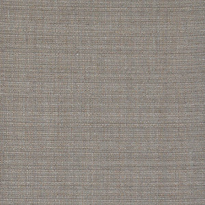Precise # 422 Cement by Maxwell Fabric