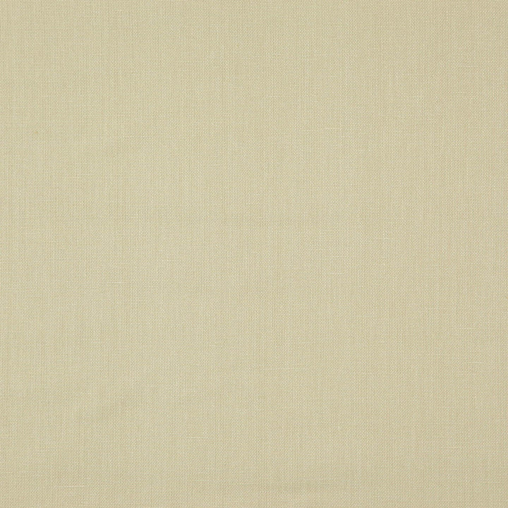PRAGUE 12J7511 by JF Designer Fabric Prague Book 100% Linen India  Horizontal:  and Vertical:  55  - Swanky Fabrics -