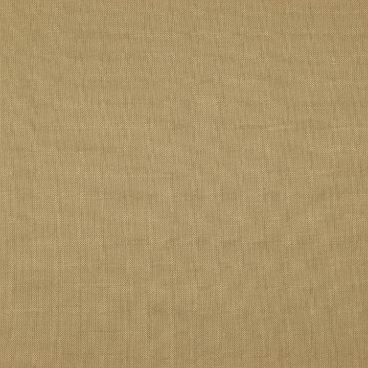Prague 14J7511 by JF Designer Fabric Prague Book 100% Linen India 25000 Horizontal: and Vertical: 55 - Swanky Fabrics -