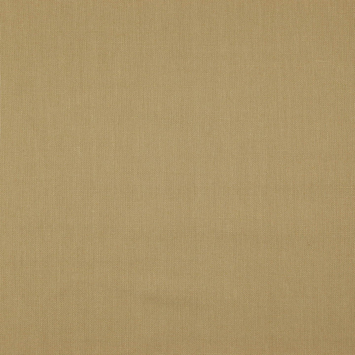 Prague 14J7511 by JF Fabric Prague Book 100% Linen India 25000 Horizontal: and Vertical: 55 - Fabric Carolina -