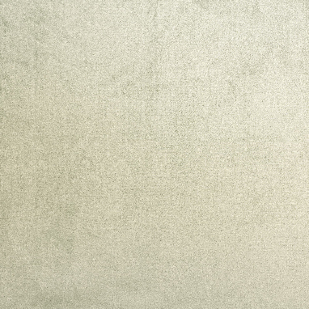 Premier 5 Mocha by Stout Fabric MARCUS WILLIAM CURIOSITIES 100%POL TURKEY FLAME RETARDANT-U.F.A.C. CLASS 1 WYZENBEEK 12 000 DOUBLE RUB WEAR TEST (MEDIUM DUTY) Horizontal: 0.000 and Vertical: 0.000 54 in - Fabric Carolina -