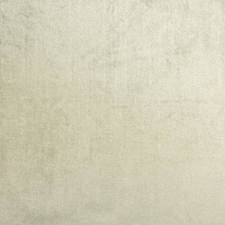 Premier 5 Mocha by Stout Fabric Stout Fabric Premier 5 MochaFabric Marcus William Curiosities 100%Pol Turkey </p><p>Repeat: H: 0, V: 18 54 in - Fabric Carolina -