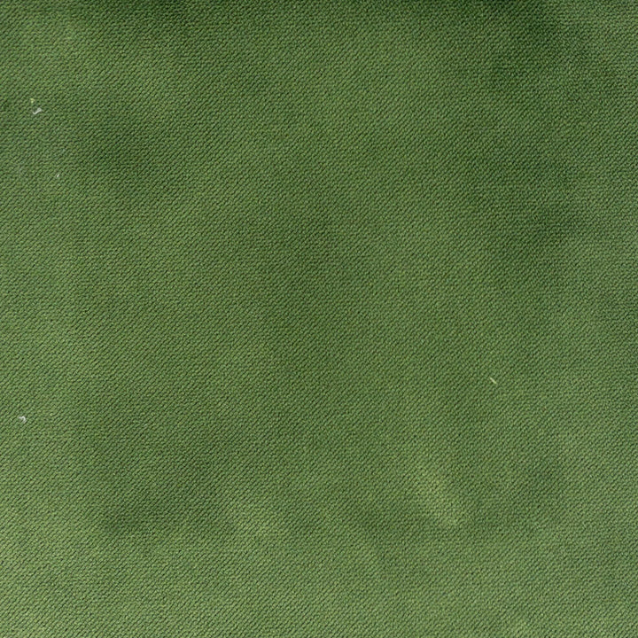 Premier 9 Grass by Stout Fabric Stout Fabric Premier 9 GrassFabric LIVING IS EASY SPRING/SPA TURKEY </p><p>Repeat: H: 0.000, V: 0.000 54 in - Fabric Carolina -