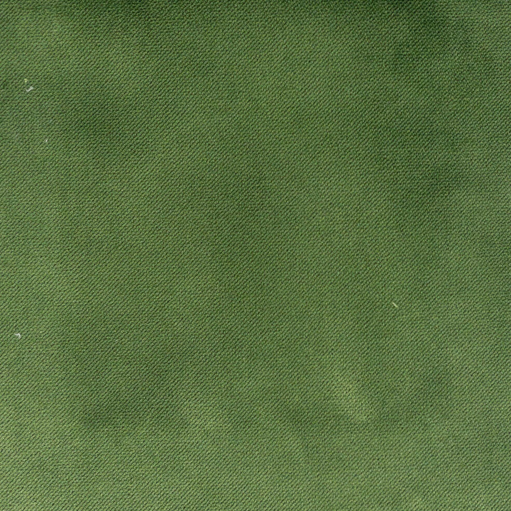Premier 9 Grass by Stout Fabric Stout Fabric Premier 9 GrassFabric LIVING IS EASY SPRING/SPA TURKEY </p><p>Repeat: H: 0.000, V: 0.000 54 in - Fabric Carolina -