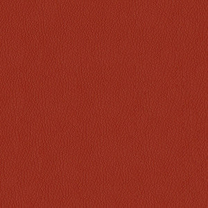 Kendrick 14 Rust by ABBEYSHEA Fabric
