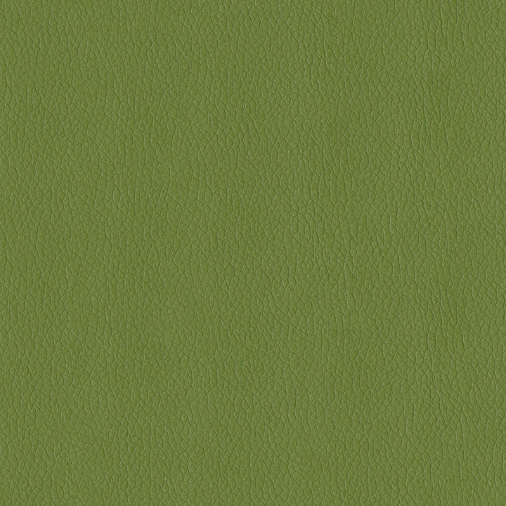 Kendrick 205 Sprig by ABBEYSHEA Fabric N/A 92% Polyester, 8% Nylon China 150,000 Double Rubs </p><p>Repeat: Horizontal: and Vertical: 54" (137 cm) - Fabric Carolina -