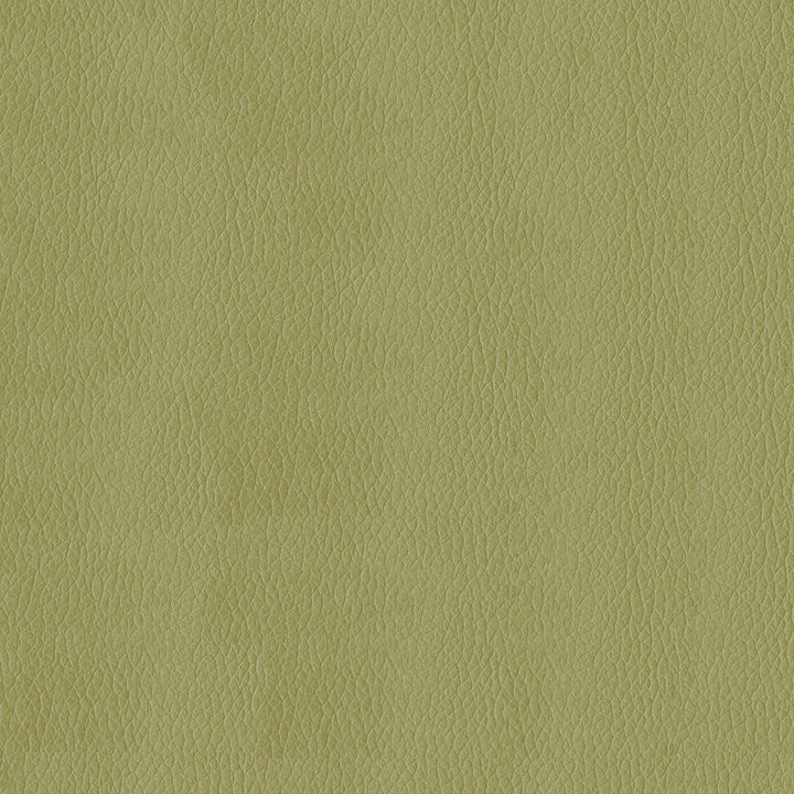 Kendrick 21 Meadow by ABBEYSHEA Fabric 100% Polyurethane (PU) China 500,000 Double Rubs (Wyzenbeek) </p><p>Repeat: Horizontal: and Vertical: 54" (137 cm) - Fabric Carolina -