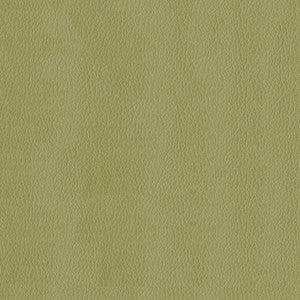 Kendrick 21 Meadow by ABBEYSHEA Fabric