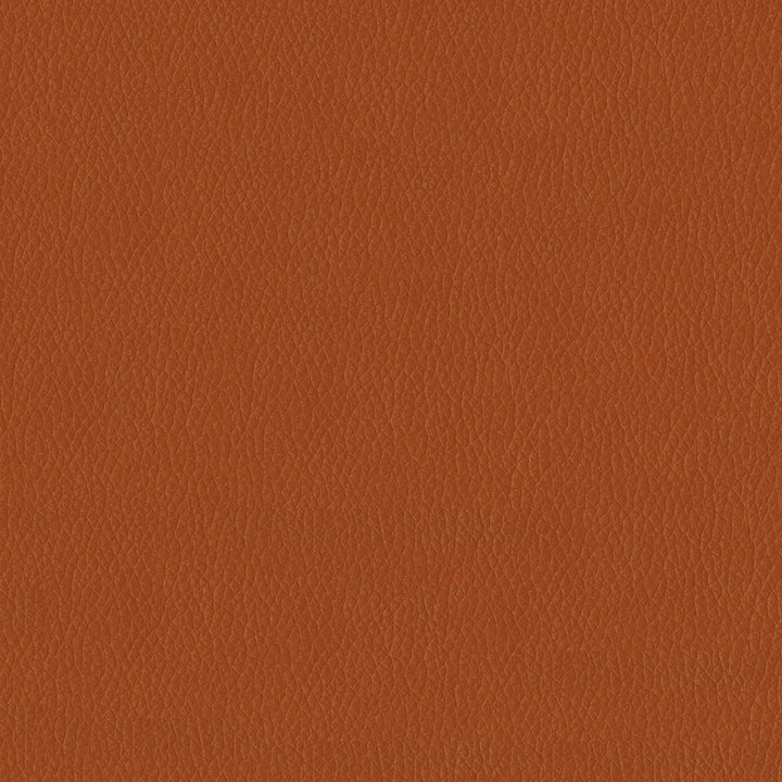 Kendrick 44 Pumpkin Spice by ABBEYSHEA Fabric N/A 100% Polyester China 40,000 Double Rubs </p><p>Repeat: Horizontal: and Vertical: 54" (137 cm) - Fabric Carolina -