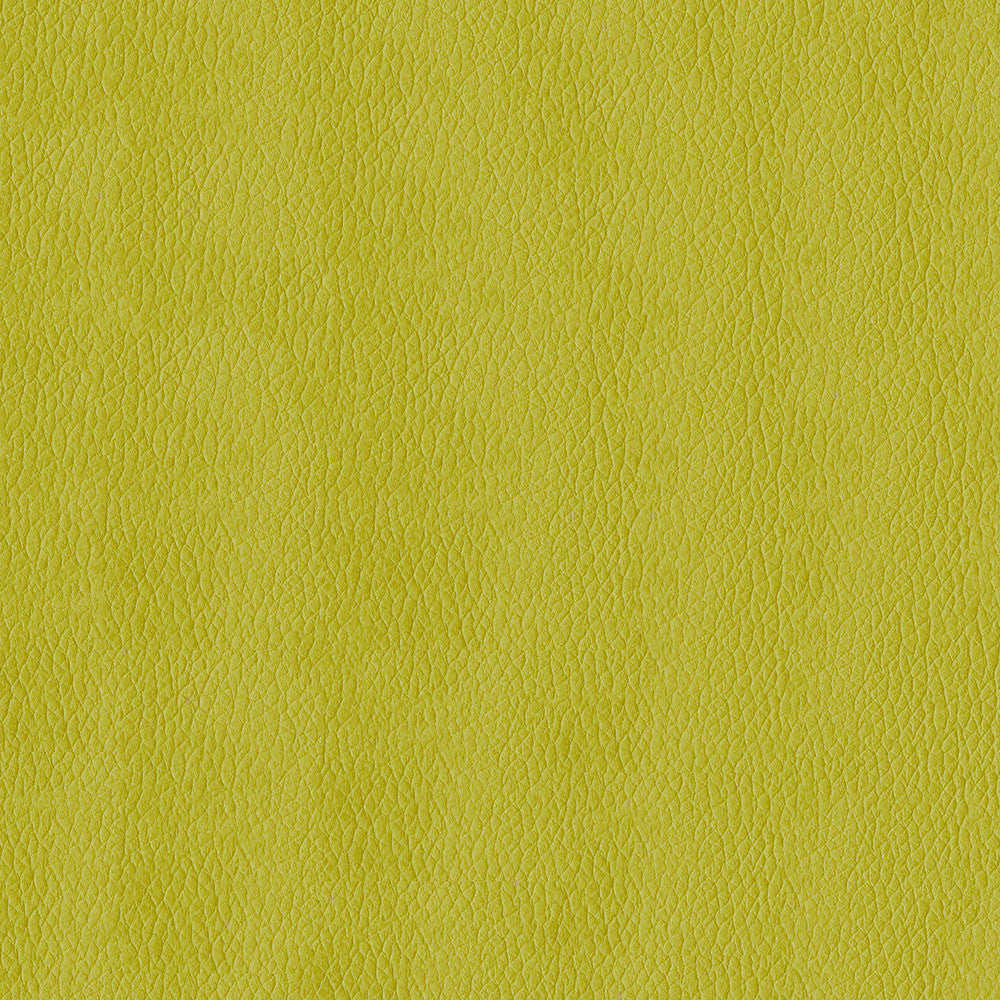 Kendrick 54 Citron by ABBEYSHEA Fabric N/A 100% Polyester China 40,000 Double Rubs </p><p>Repeat: Horizontal: and Vertical: 54" (137 cm) - Fabric Carolina -