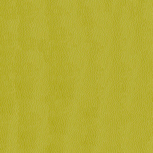 Kendrick 54 Citron by ABBEYSHEA Fabric