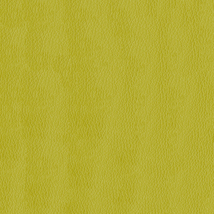 Kendrick 54 Citron by ABBEYSHEA Fabric 100% Polyurethane (PU) China 500,000 Double Rubs (Wyzenbeek) </p><p>Repeat: Horizontal: and Vertical: 54" (137 cm) - Fabric Carolina -