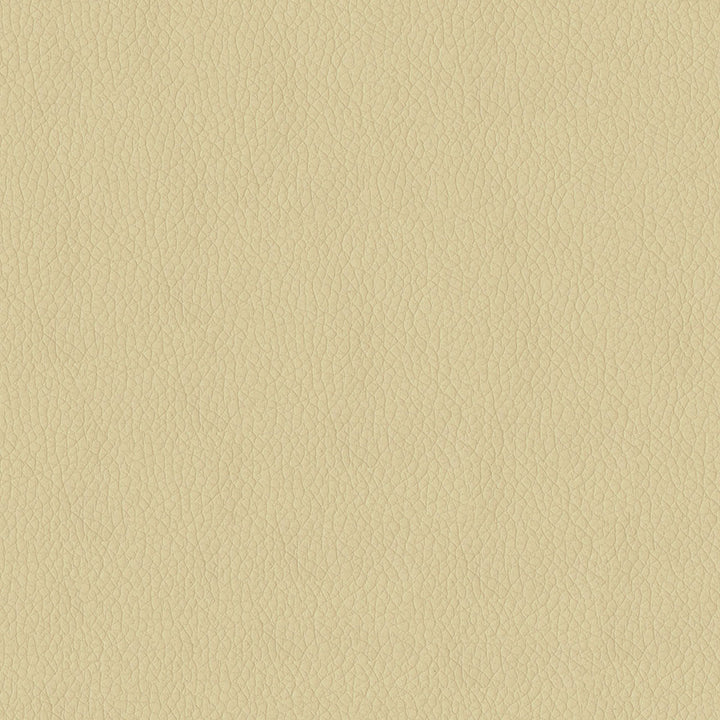 Kendrick 605 Parchment by ABBEYSHEA Fabric 100% Polyurethane (PU) China 500,000 Double Rubs (Wyzenbeek) </p><p>Repeat: Horizontal: and Vertical: 54" (137 cm) - Fabric Carolina -