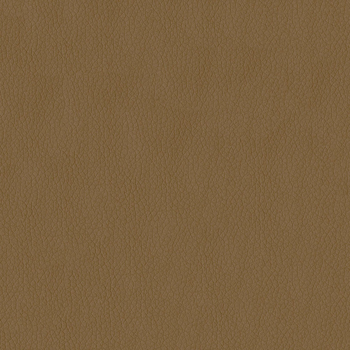 Kendrick 608 Sandstone by ABBEYSHEA Fabric N/A 100% Polyester China 40,000 Double Rubs </p><p>Repeat: Horizontal: and Vertical: 54" (137 cm) - Fabric Carolina -