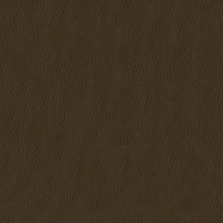 Kendrick 802 Tan by ABBEYSHEA Fabric N/A 100% Polyester China 40,000 Double Rubs </p><p>Repeat: Horizontal: and Vertical: 54" (137 cm) - Fabric Carolina -