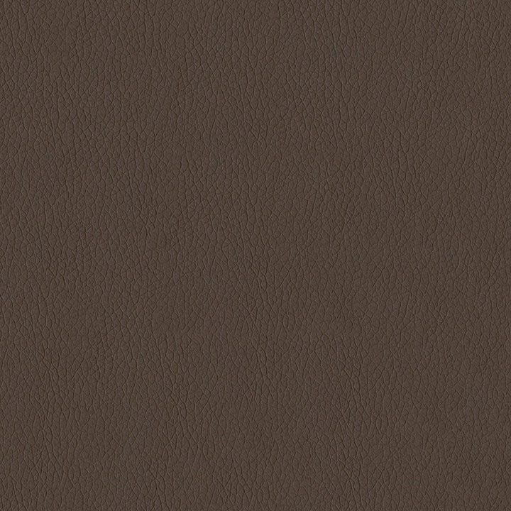 Kendrick 808 Mocha by ABBEYSHEA Fabric N/A 100% Polyester China 40,000 Double Rubs </p><p>Repeat: Horizontal: and Vertical: 54" (137 cm) - Fabric Carolina -