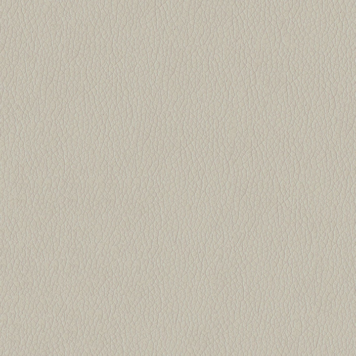 Kendrick 9003 Grey by ABBEYSHEA Fabric N/A 100% Polyester China 40,000 Double Rubs </p><p>Repeat: Horizontal: and Vertical: 54" (137 cm) - Fabric Carolina -