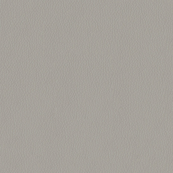 Kendrick 95 Quicksilver by ABBEYSHEA Fabric N/A 100% Polyester China 40,000 Double Rubs </p><p>Repeat: Horizontal: and Vertical: 54" (137 cm) - Fabric Carolina -