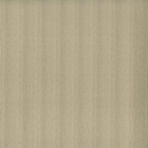 Prevue Barley by Norbar Fabric ENVICTA 100% POLYURETHANE KOREA 54 - Fabric Carolina -