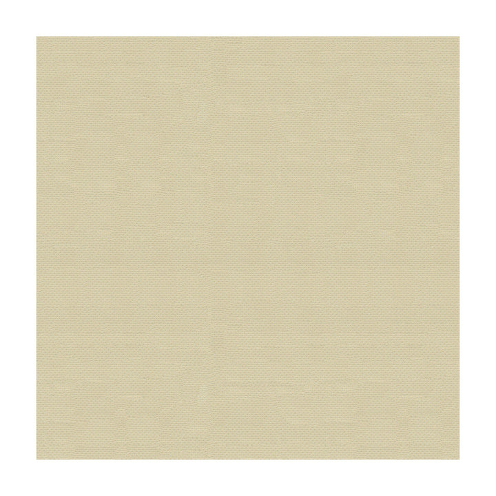Prima-111 by Kravet Design Fabric ULTRALEATHER PLUS IV POLYURETHANE - 100% Japan HEAVY Horizontal: - and Vertical: - 54 - Fabric Carolina -