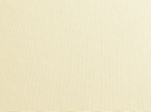 Primo Raffia 13 by Norbar Fabric PRIMO 100% COTTON USA 56 - Fabric Carolina -