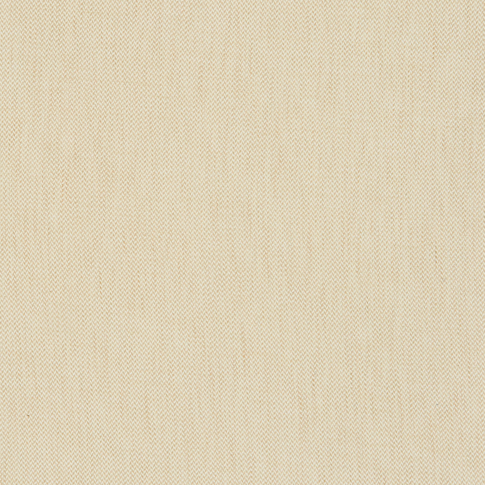 Prism 11J8221 by JF Fabric Glisten 100% Polyester India 51000 Horizontal: 0.25 and Vertical: 0.25 54 - Fabric Carolina -