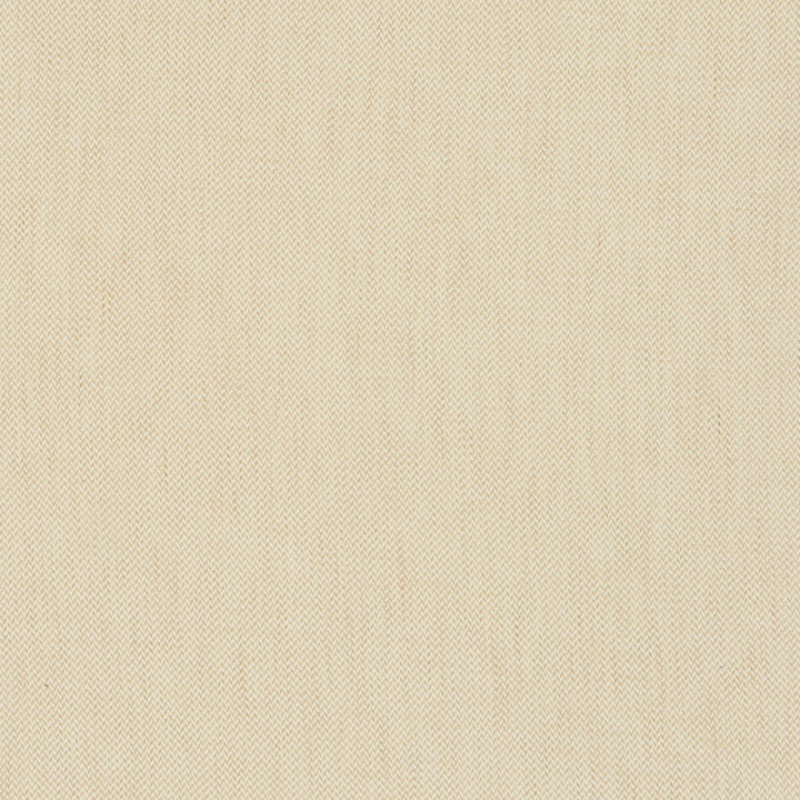 Prism 11J8221 by JF Fabric Glisten 100% Polyester India 51000 Horizontal: 0.25 and Vertical: 0.25 54 - Fabric Carolina -