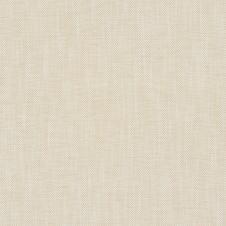 Prism 30J8221 by JF Fabric Glisten 100% Polyester India 51000 Horizontal: 0.25 and Vertical: 0.25 54 - Fabric Carolina -