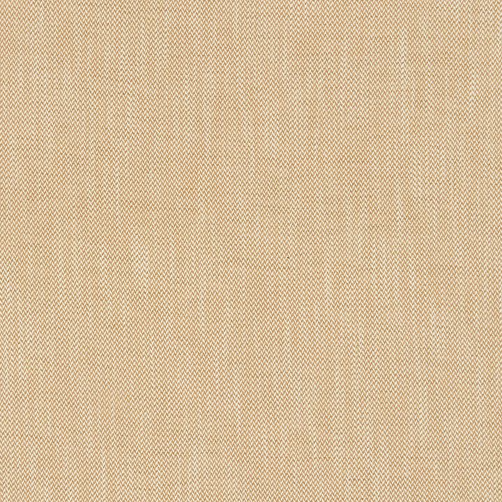 Prism 34J8221 by JF Fabric Glisten 100% Polyester India 51000 Horizontal: 0.25 and Vertical: 0.25 54 - Fabric Carolina -