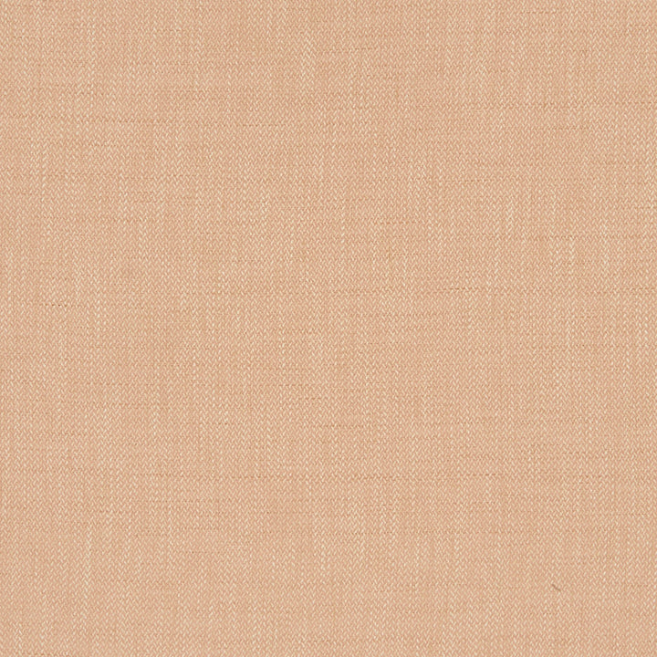 Prism 44J8221 by JF Fabric Glisten 100% Polyester India 51000 Horizontal: 0.25 and Vertical: 0.25 54 - Fabric Carolina -