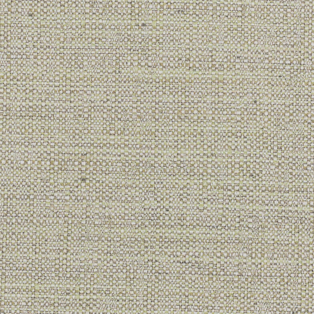 Privilege 6 Aloe by Stout Fabric TEMPTATION II DRAPERY TEXTURES 83%POL 12%COT 5%SVI INDIA WYZENBEEK 50 000 DOUBLE RUB WEAR TEST (HEAVY DUTY) Horizontal: 0.000 and Vertical: 0.000 55 in - Fabric Carolina -
