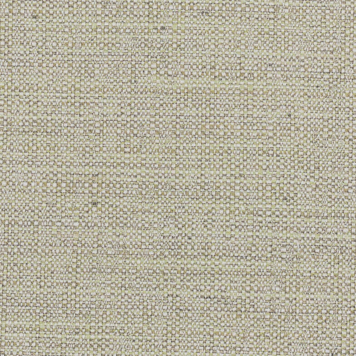 Privilege 6 Aloe by Stout Fabric TEMPTATION II DRAPERY TEXTURES 83%POL 12%COT 5%SVI INDIA WYZENBEEK 50 000 DOUBLE RUB WEAR TEST (HEAVY DUTY) Horizontal: 0.000 and Vertical: 0.000 55 in - Fabric Carolina -