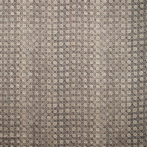 Procida Pewter by Kravet Couture Fabric