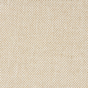 Prosecco 13J8221 by JF Fabric