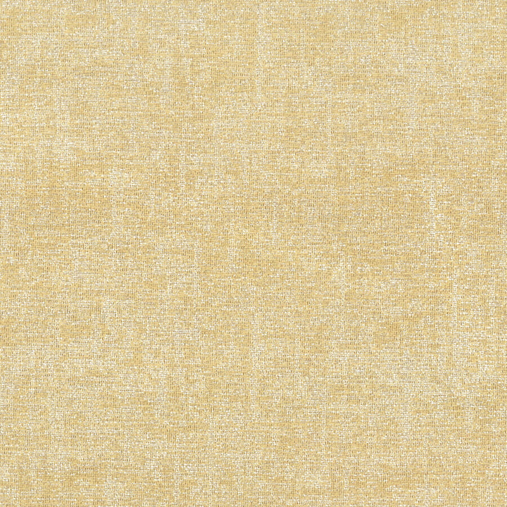 Proximity 1 Straw by Stout Fabric RAINBOW LIBRARY CHARDONNAY/CARAMEL 100%POL CHINA FLAME RETARDANT-U.F.A.C. CLASS 1 CATB 117-2013 MARTINDALE WEAR TEST (50 000 CIRCULAR RUBS) Horizontal: 4 and Vertical: 14.75 57 in - Fabric Carolina -