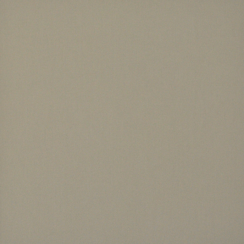 Princeton # 613 Sand by Maxwell Fabric PURE & SIMPLE V 100% COTTON DUCK USA </p><p>Repeat: Horizontal: and Vertical: 55" - Fabric Carolina -