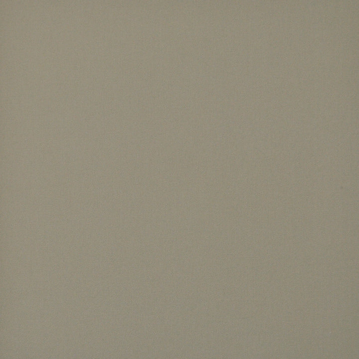 Princeton # 627 Stone by Maxwell Fabric PURE & SIMPLE V 100% COTTON DUCK USA See sample </p><p>Repeat: Horizontal: and Vertical: 55" - Fabric Carolina -