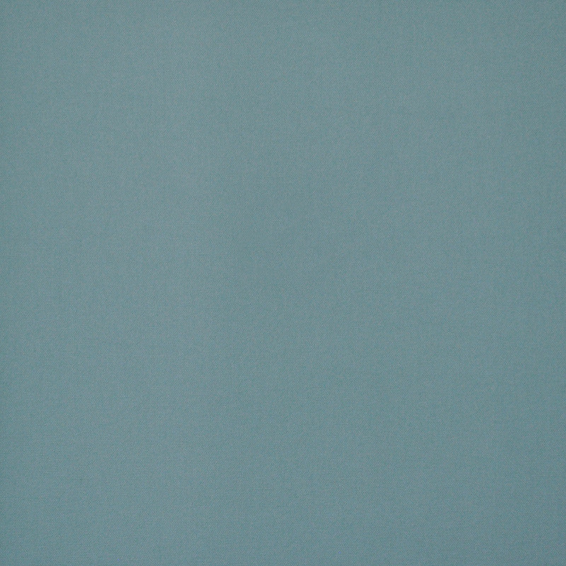 Princeton # 646 Seaspray by Maxwell Fabric PURE & SIMPLE V 100% COTTON DUCK USA </p><p>Repeat: Horizontal: and Vertical: 55" - Fabric Carolina -